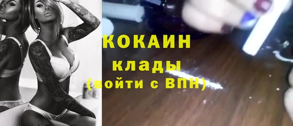 молекула духа Алексин