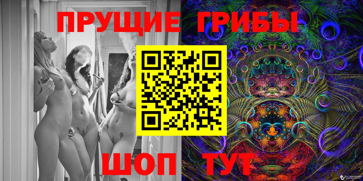 Псилоцибиновые грибы GOLDEN TEACHER  Вход с VPN  Карпинск  Псилоцибиновые грибы Magic Shrooms 